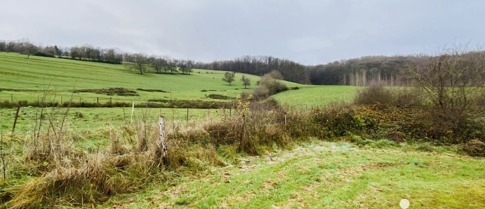 Terrain Loisirs de 31 710 m² à Boult-aux-Bois (08240)