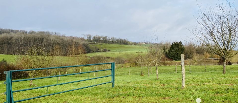 Terrain Loisirs de 31 710 m² à Boult-aux-Bois (08240)