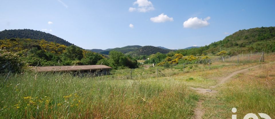 Maison traditionnelle 14 pièces de 446 m² à Laroque-de-Fa (11330)