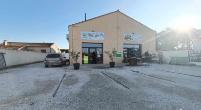 Retail property of 300 m² in Entraigues-sur-la-Sorgue (84320)