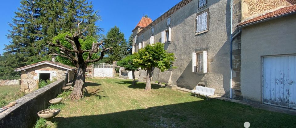 Château 5 pièces de 227 m² à Châteauneuf-de-Galaure (26330)