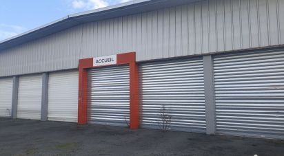 Commercial walls of 700 m² in Bourgueil (37140)