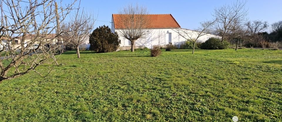 House 4 rooms of 136 m² in Marennes (17320)