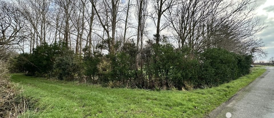 Land of 1,854 m² in Plobannalec-Lesconil (29740)