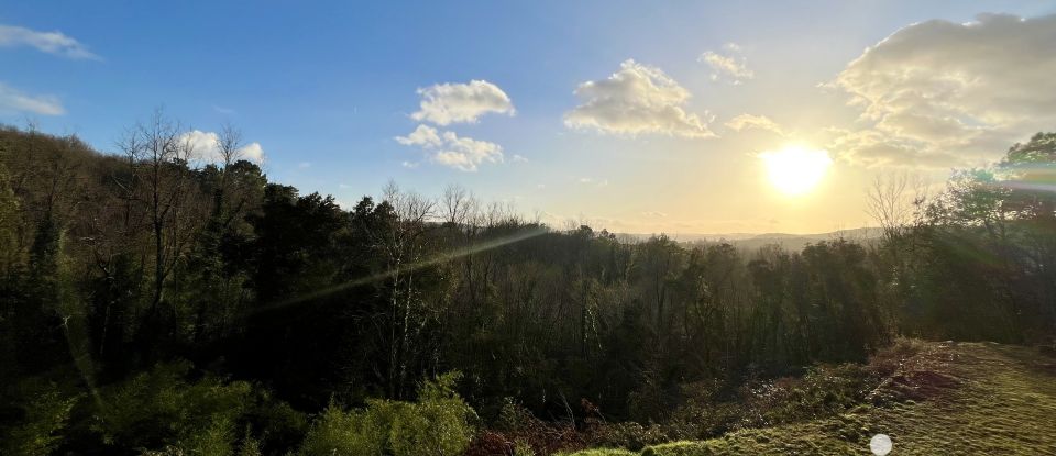 Maison de campagne 7 pièces de 173 m² à Vitrac (24200)