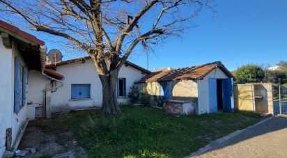 House 4 rooms of 95 m² in Mireval (34110)