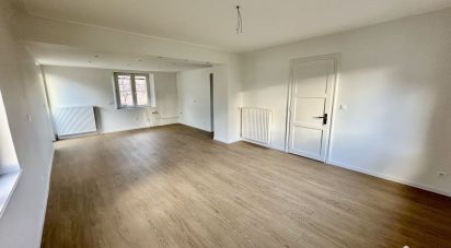 Local d'activités de 412 m² à Jebsheim (68320)