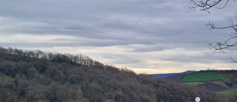 Maison traditionnelle 8 pièces de 200 m² à La Bastide-Clairence (64240)