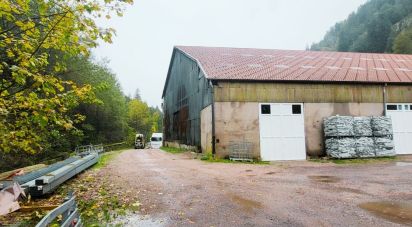 Business premises of 2,000 m² in Gérardmer (88400)