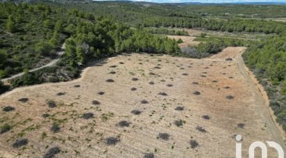 Terrain agricole de 20 400 m² à Roquefort-des-Corbières (11540)