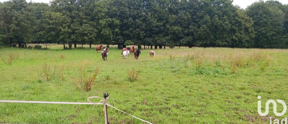 Longère 7 pièces de 207 m² à Les Bordes (89500)