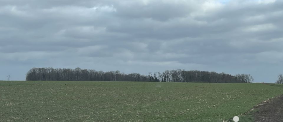 Land of 13,668 m² in Villecerf (77250)