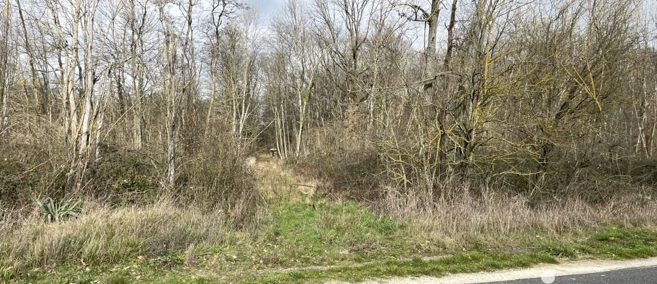 Land of 13,668 m² in Villecerf (77250)