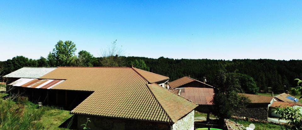 Farm 5 rooms of 66 m² in Félines (43160)