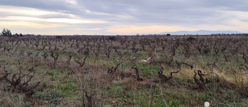 Maison 3 pièces de 65 m² à Salses-le-Château (66600)