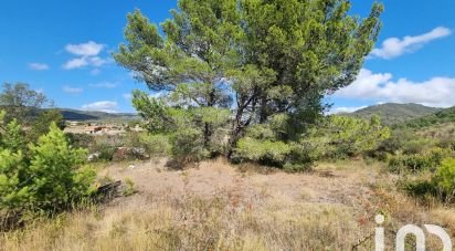 Terrain de 1 318 m² à Villeneuve-les-Corbières (11360)