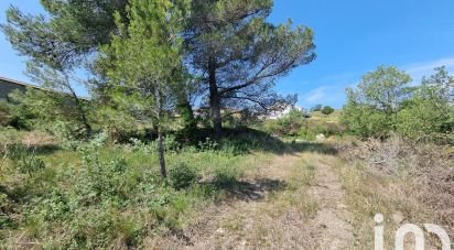 Terrain de 1 318 m² à Villeneuve-les-Corbières (11360)