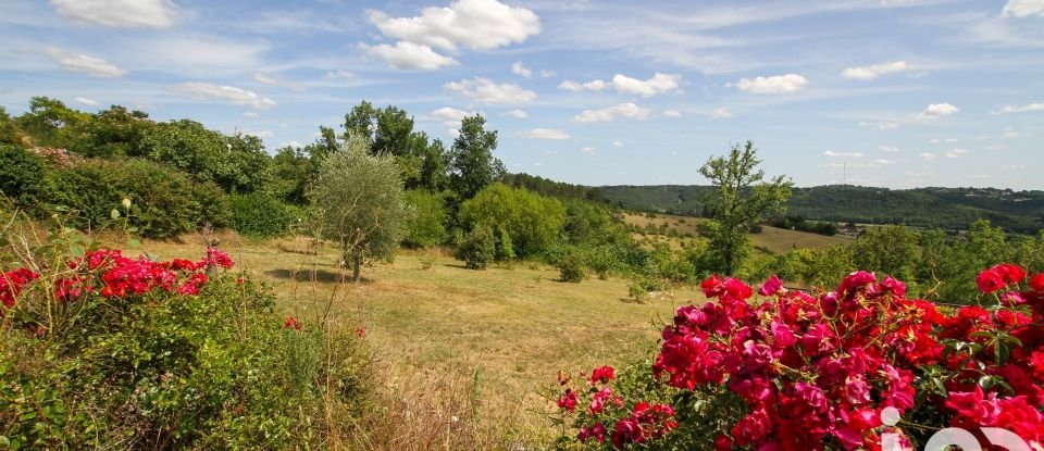 Maison 13 pièces de 440 m² à Le Bugue (24260)