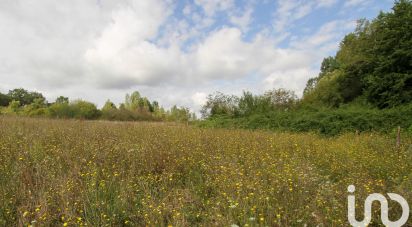 Maison 8 pièces de 199 m² à Le Buisson-de-Cadouin (24480)