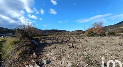 Terrain agricole de 65 360 m² à Caramany (66720)