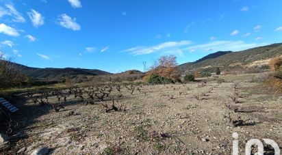 Terrain agricole de 65 360 m² à Caramany (66720)