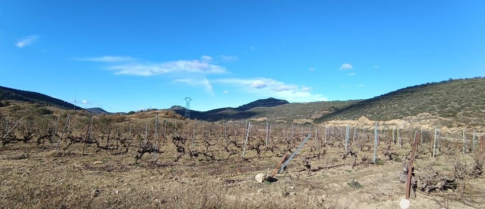 Terrain agricole de 65 360 m² à Caramany (66720)