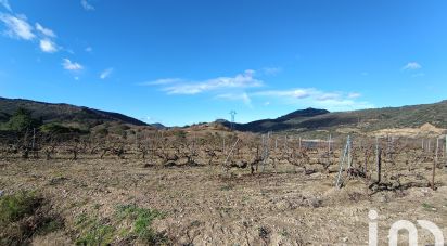 Terrain agricole de 65 360 m² à Caramany (66720)