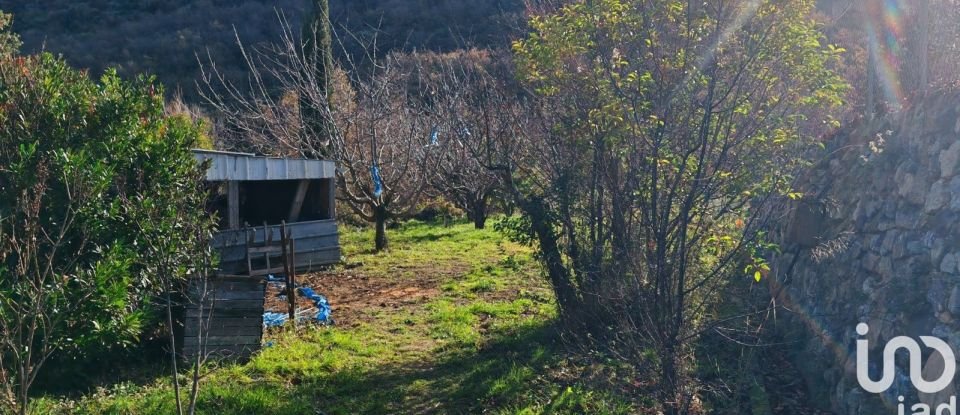 Terrain agricole de 65 360 m² à Caramany (66720)