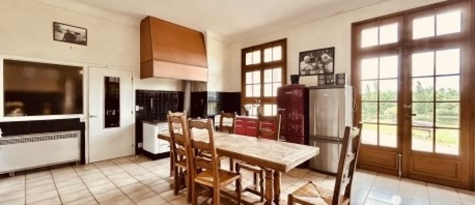 Manor 5 rooms of 404 m² in La Ferté-Saint-Cyr (41220)