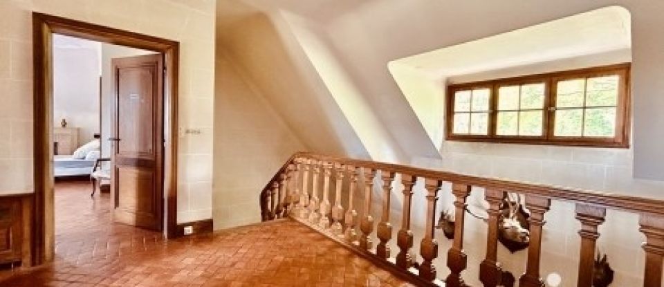 Manor 5 rooms of 404 m² in La Ferté-Saint-Cyr (41220)