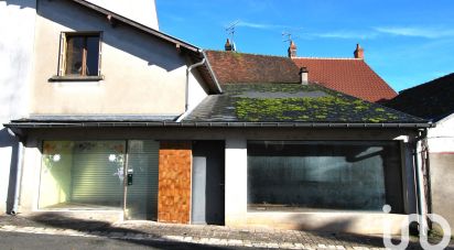 Maison de ville 5 pièces de 240 m² à Ouzouer-sur-Trézée (45250)