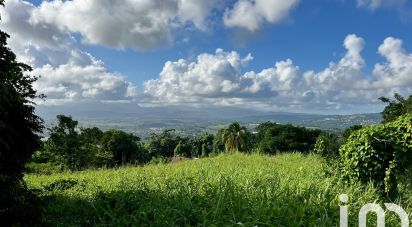 Terrain de 566 m² à Le Lamentin (97232)