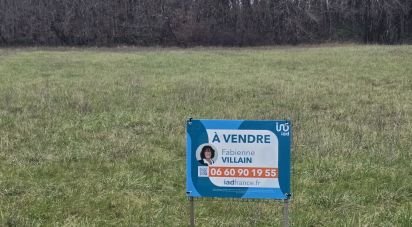 Terrain de 4 941 m² à Tendu (36200)