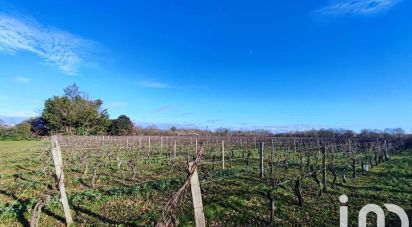 Terrain de 2 366 m² à Labastide-Saint-Pierre (82370)