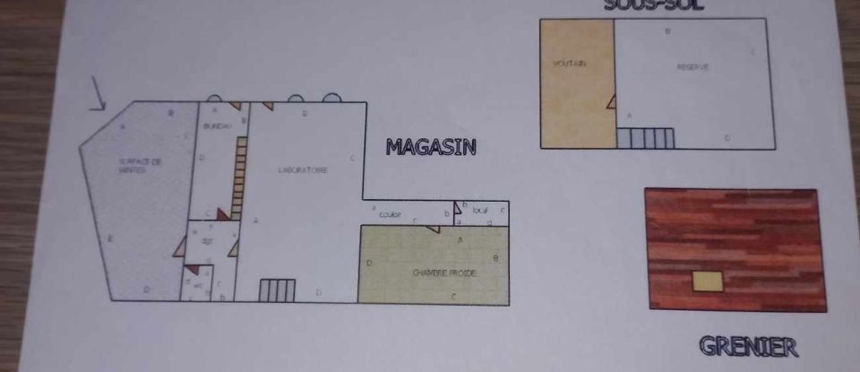 Immeuble de 160 m² à Saâcy-sur-Marne (77730)