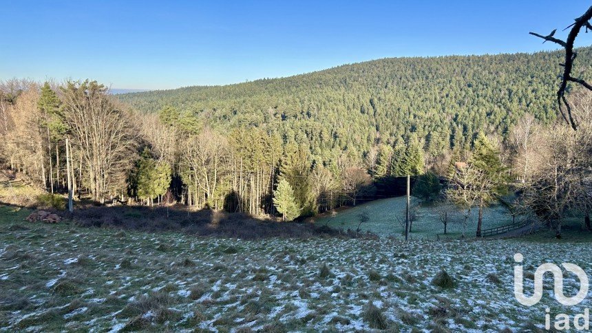 Land of 23 m² in Dabo (57850)