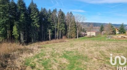 Land of 3,195 m² in Anould (88650)