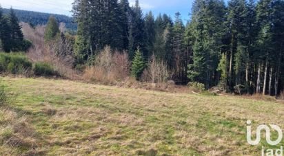 Land of 3,195 m² in Anould (88650)