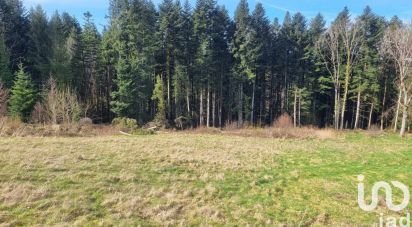 Land of 3,195 m² in Anould (88650)