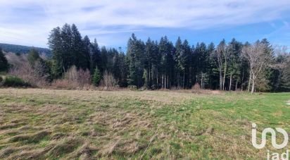 Land of 3,195 m² in Anould (88650)