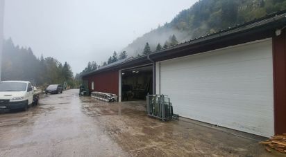 Business premises of 1,500 m² in Gérardmer (88400)