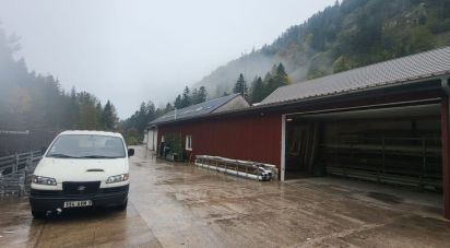 Business premises of 1,500 m² in Gérardmer (88400)