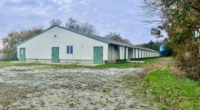 Local d'activités de 1 200 m² à Saint-Aignan (56480)