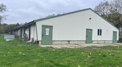 Business premises of 1,200 m² in Saint-Aignan (56480)