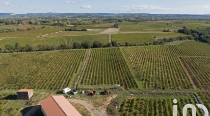 Agricultural land of 93,829 m² in Ceyras (34800)