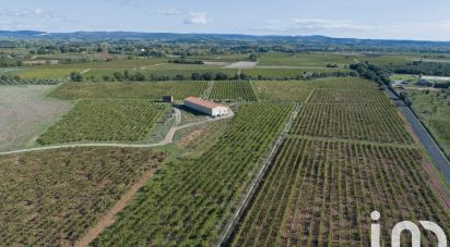 Agricultural land of 93,829 m² in Ceyras (34800)