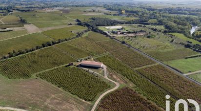 Agricultural land of 93,829 m² in Ceyras (34800)