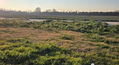 Terrain de 527 m² à Beaucaire (30300)