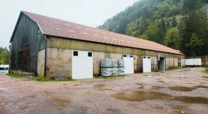 Business premises of 2,000 m² in Gérardmer (88400)