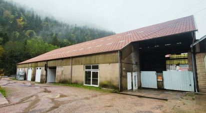 Business premises of 2,000 m² in Gérardmer (88400)